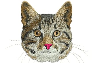 do perfect embroidery digitizing into dst pes in 1 hour