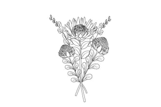 draw one line art illustrations of flowers, plants, fruits or flower bouquet