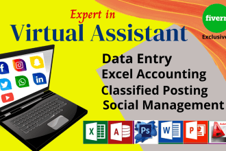 do data entry social media management as a virtual assistant