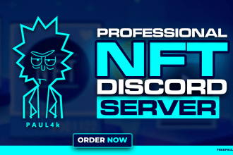 fully set up a professional nft discord server