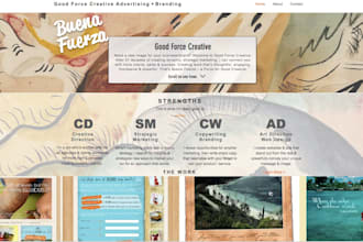 develop a new mktg brand strategy using my 25yrs writing for global ad agencies