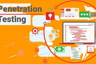 perform vapt on your application and provide remediation support