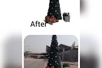 do images background removal professionally and fast