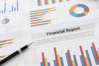 prepare summary financial statements with ratios analysis