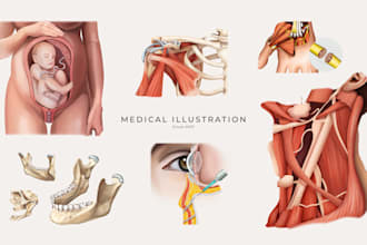 illustrate custom realistic medical art for commercial use