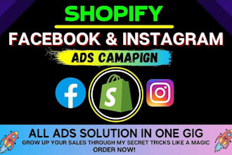 be your facebook ads campaign manager to run fb ads