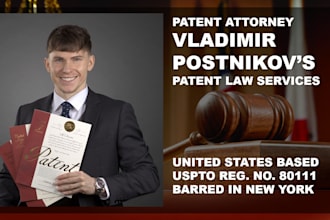 provide patent and patent law consultations