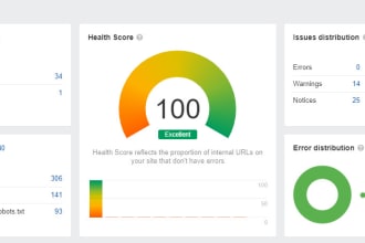 optimize shopify technical SEO issues and page speed insight score