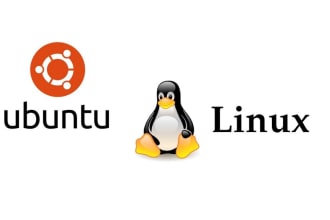 install any software in your linux server