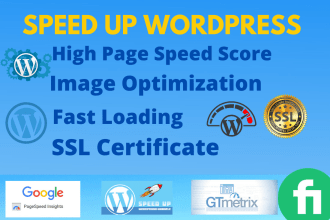 increase wordpress website speed and install SSL and SEO