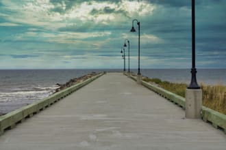 take nature, wildlife, photography near my area