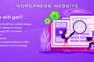 professional china baidu seo sem consultant