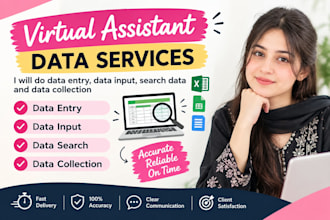 do data entry, data input, search data and data collection