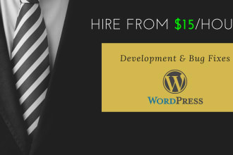code or customize any wordpress theme