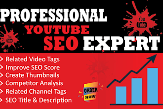 be your youtube video SEO specialist for organic growth