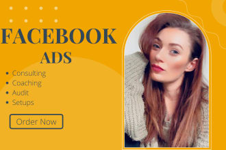 run,manage and teach facebook ads, instagram ads