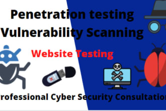 penetration testing and vulnerability testing for a website with a report