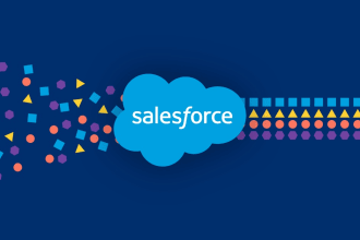 give salesforce admin training lessons and lecture