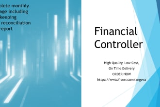 be your financial controller, virtual accountant