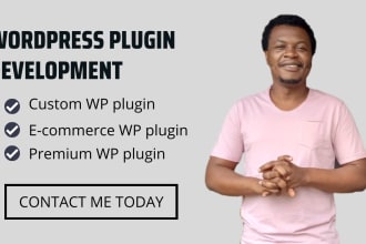 develop a custom wordpress plugin for you