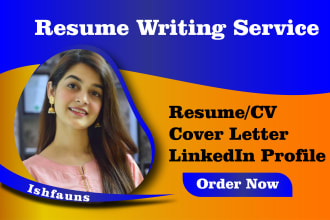 provide professional resume writing service