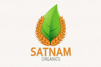 design a versatile creative logo for your business
