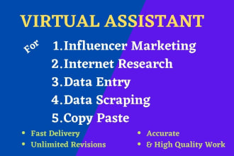 be your digital marketing virtual assistant for data entry, mining, web research