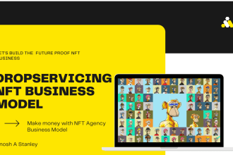 create a profitable nft drop servicing business model