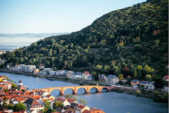 guide you to visa and job in germany