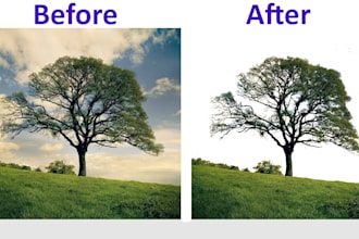 photo editing,do background removal, hair masking, cut out images