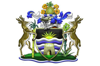 attractive cost of arms family crest heraldic logo for you