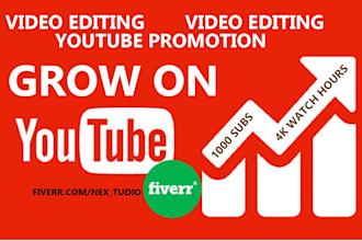 be your youtube SEO expert for organic growth rapid ranking