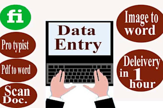 do data entry operations and any typing job for you in 8 hour