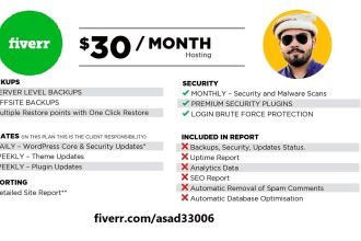 provide australian web hosting and maintenance services