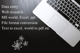 be virtual assistant for data entry, web research, ms work, format conversion