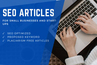 write SEO optimized articles for small businesses