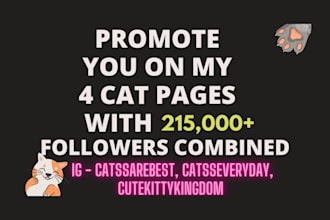 do shoutout promotion on my 215k cat instagram pages