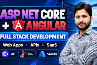 develop asp net core apis and angular web applications