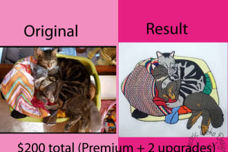 digitize an image into an embroidery design file dst pes etc