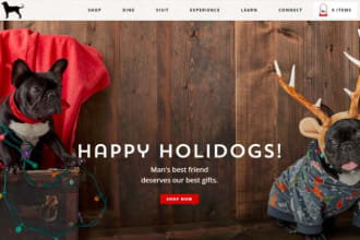 pet shopify design store and website
