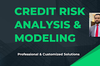 do credit risk analysis and modeling for bank financing