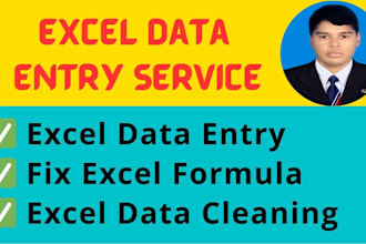 fix excel formula, data cleaning, data merge and data entry