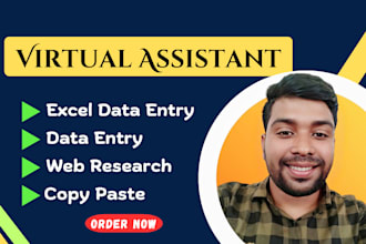 do excel data entry, copy paste, and web research jobs