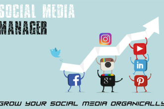 be your expert instagram and tiktok account manager