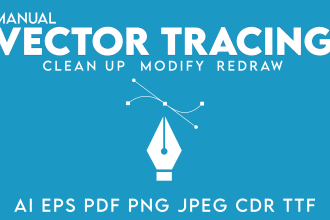do vector tracing, redraw, edit, refine, and modify in one hour
