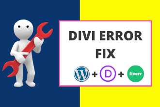 do divi theme customization and fix divi issues