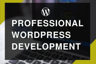 do professional wordpress programming