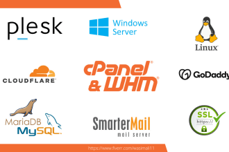 fix cpanel, plesk, whm, linux, vps, dns, SSL, wordpress, email related issues