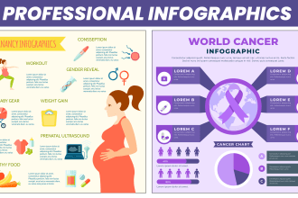 design professional infographics, flow charts, diagrams in 24hrs