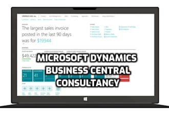 provide microsoft dynamics business central hourly support